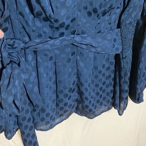🎈Max Studio | Tops | Max Studio Navy Sheer Polka  Dot Tie Blouse Size 2X - Picture 4 of 6